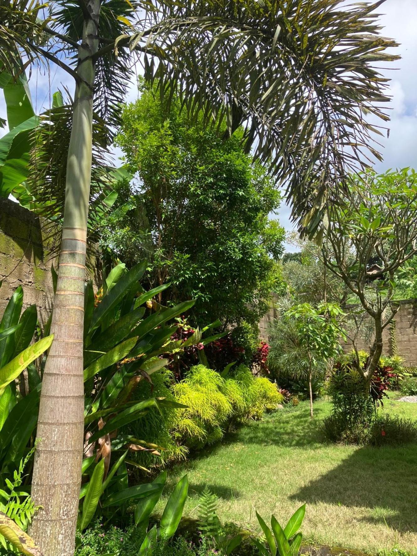 Villa Kelana Sidemen  Luaran gambar