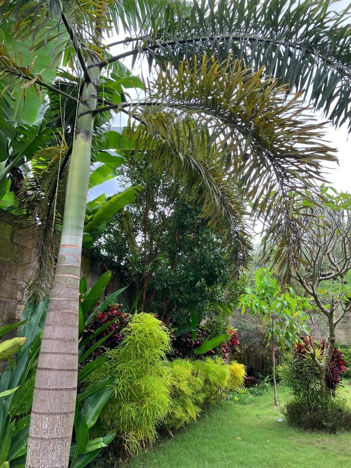 Villa Kelana Sidemen  Luaran gambar